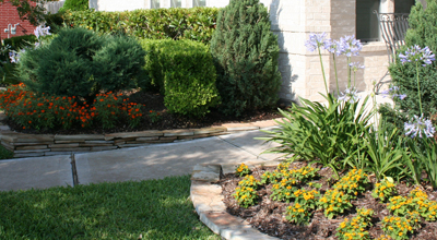 garden2